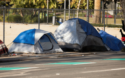 La Nouvelle Réalité des Sans-Abris en Belgique